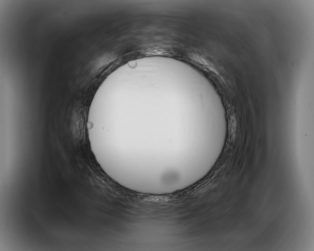 X0000087361446200704200816