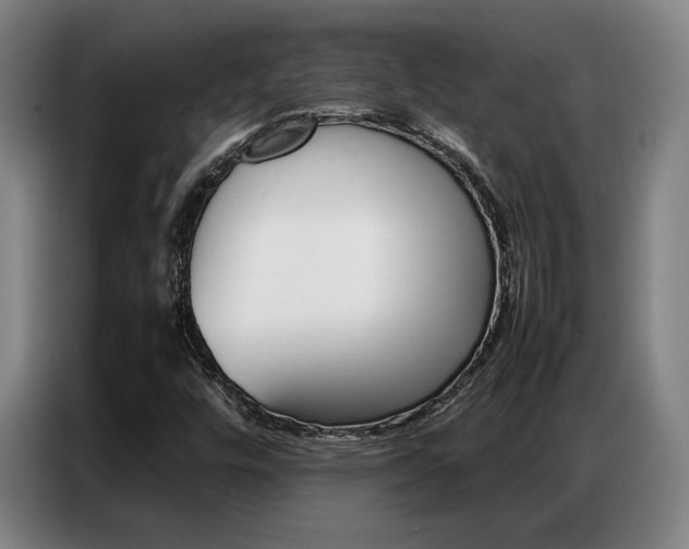 X0000087361448200704200816