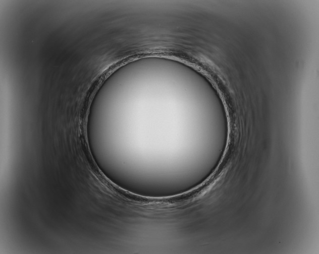 X0000087361449200704200815
