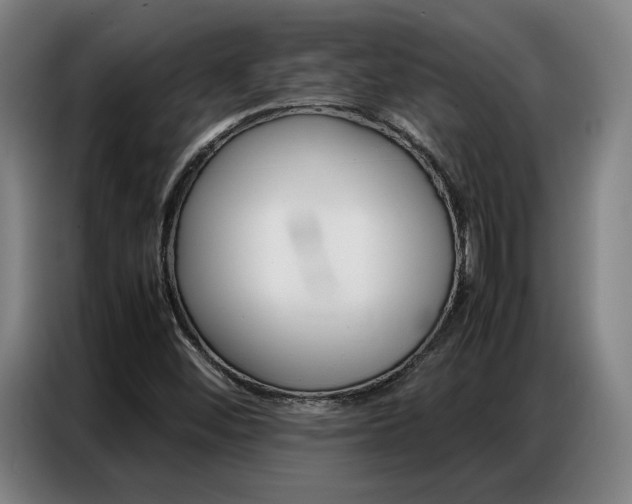 X0000087361452200704200815