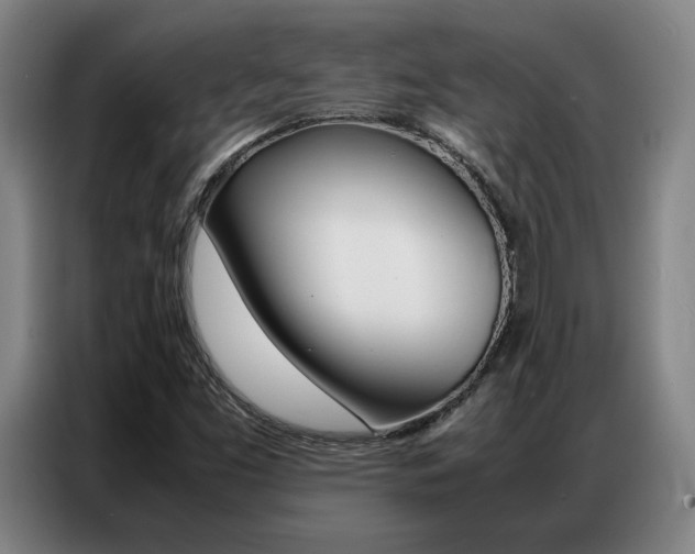X0000087361453200704200815