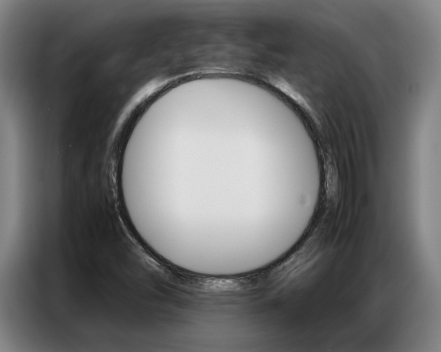 X0000087361454200704200815