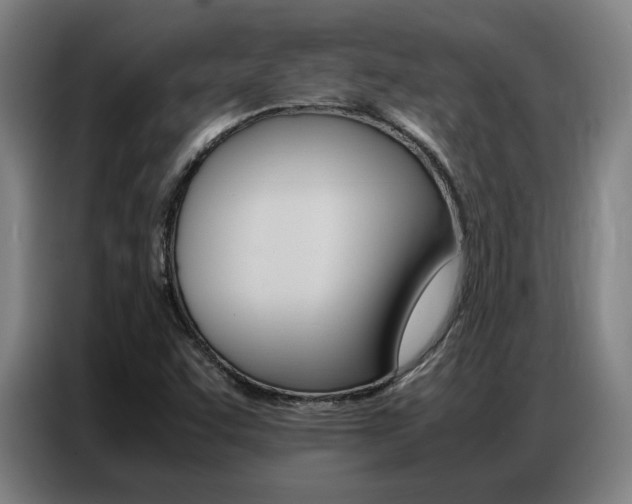 X0000087361455200704200815