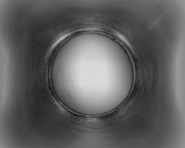 X0000087361456200704200815