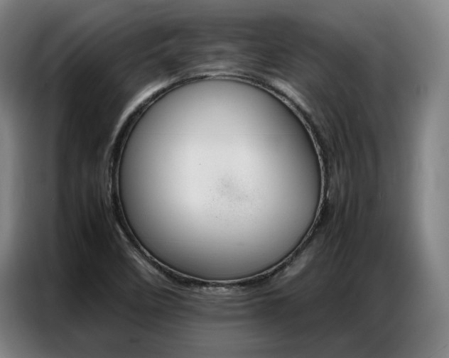 X0000087361458200704200815