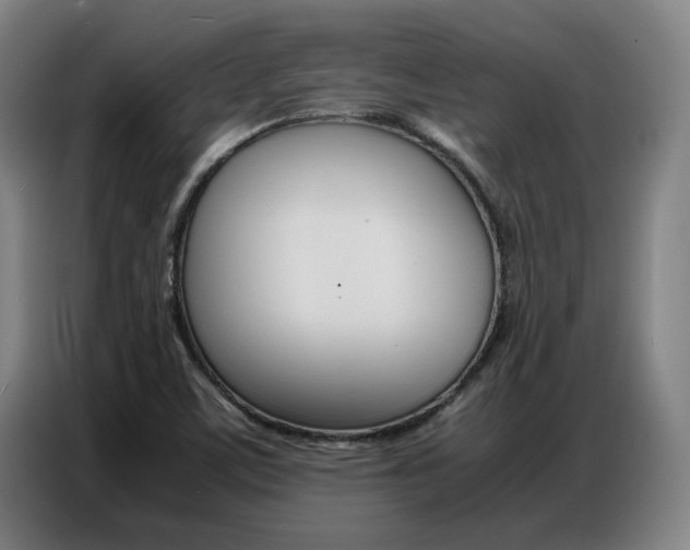 X0000087361459200704200815
