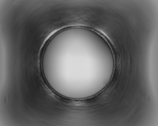 X0000087361460200704200815