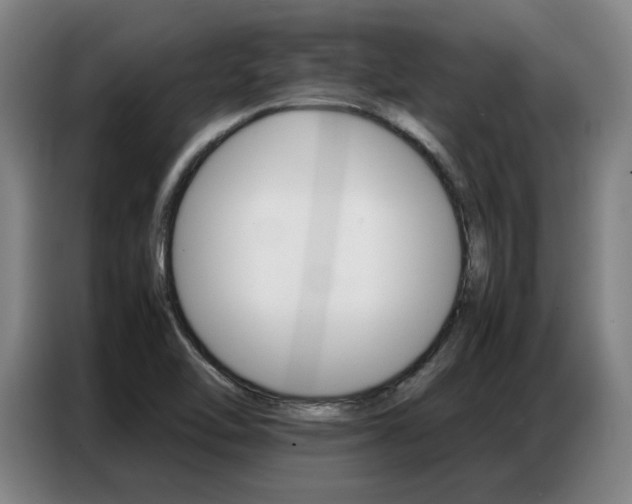 X0000087361462200704200815