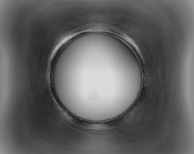 X0000087361464200704200815