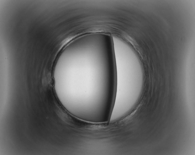 X0000087361465200704200815