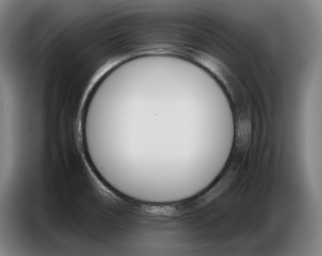 X0000087361466200704200815