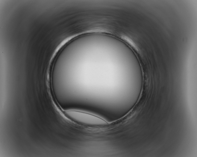 X0000087361468200704200815
