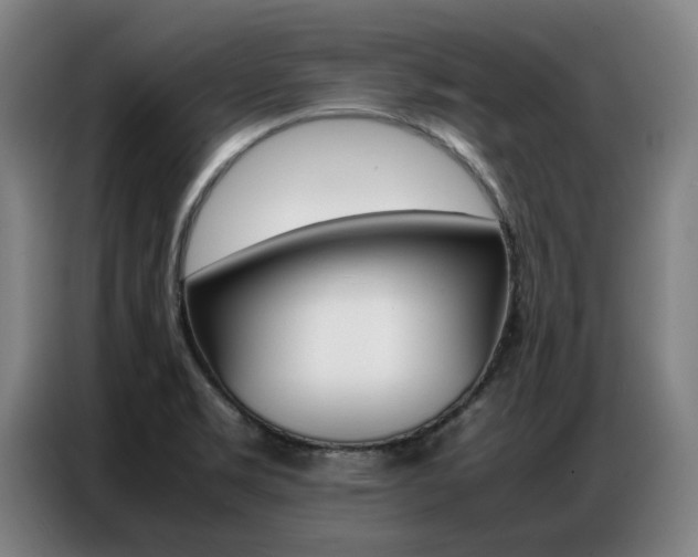 X0000087361469200704200815