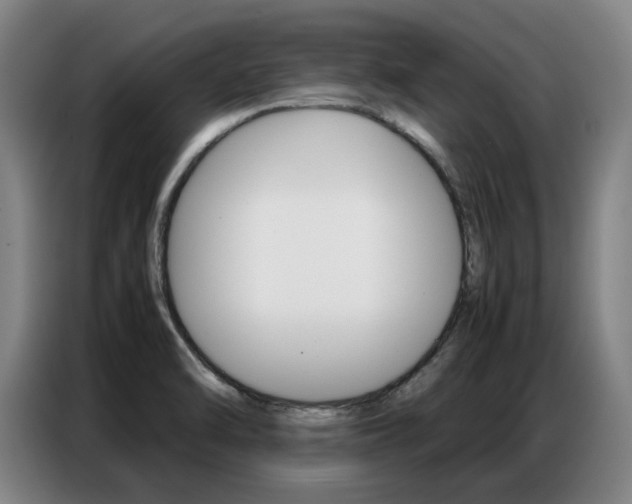 X0000087361470200704200815