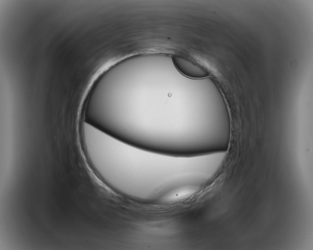 X0000087361471200704200815