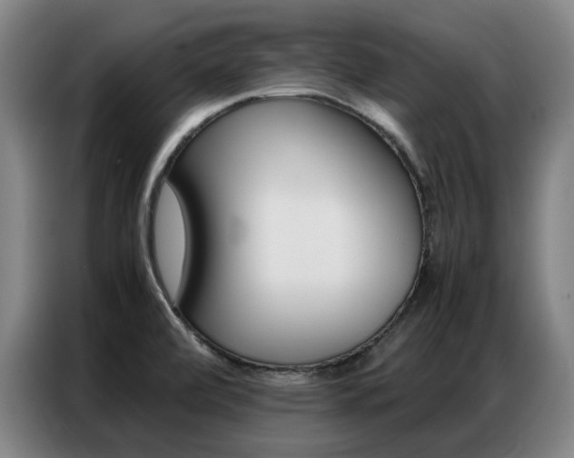 X0000087361472200704200815