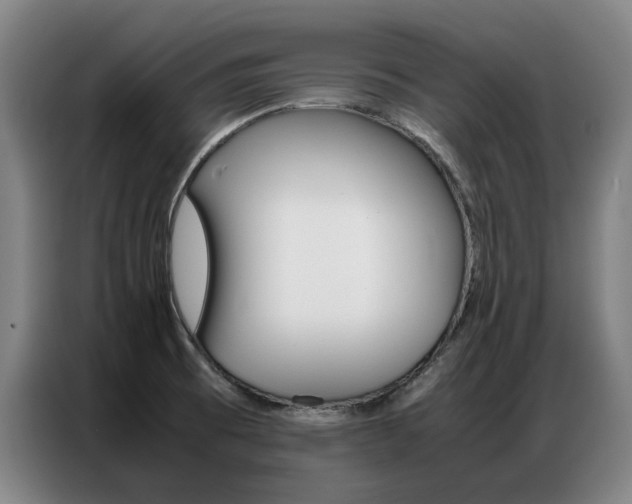 X0000087361473200704200815