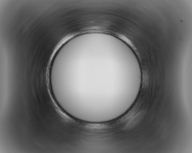 X0000087361474200704200815