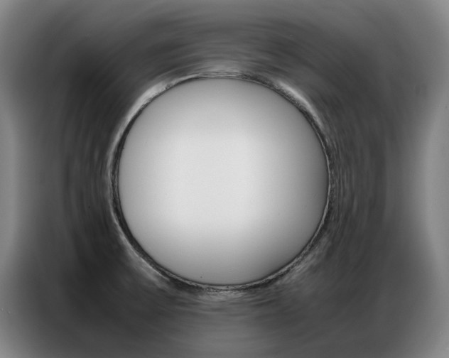 X0000087361475200704200815