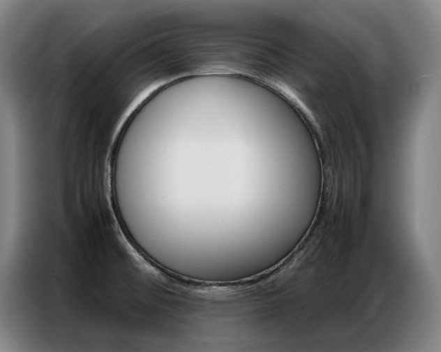 X0000087361476200704200815