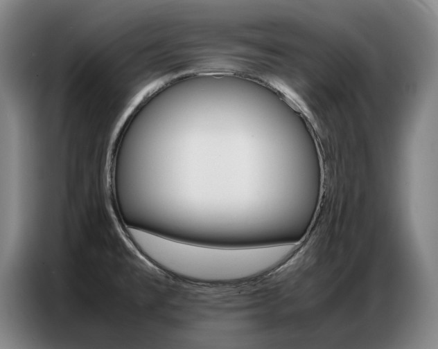 X0000087361477200704200815