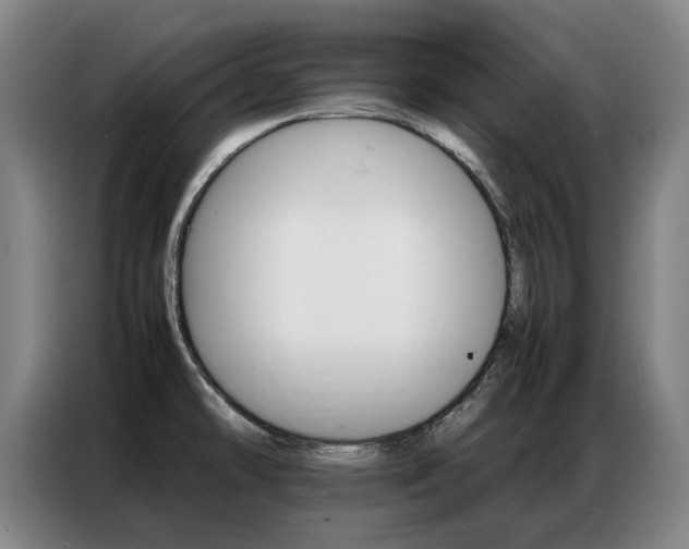 X0000087361478200704200815