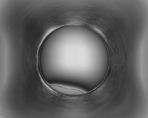 X0000087361479200704200815