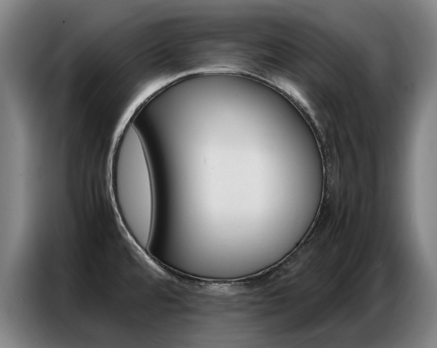 X0000087361480200704200815
