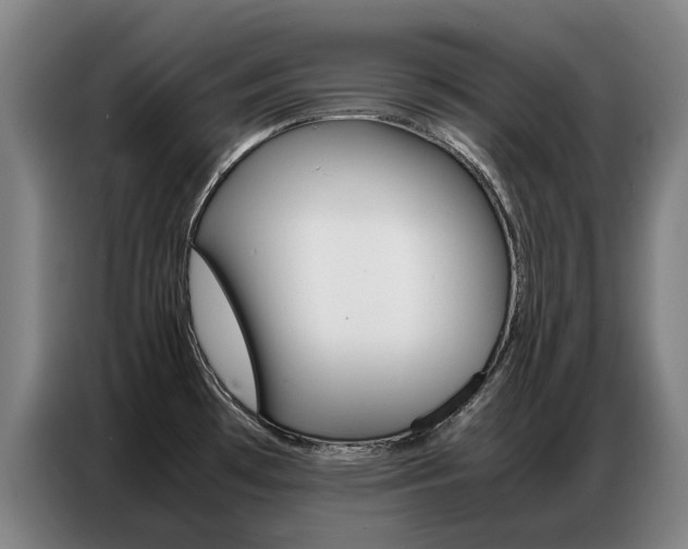 X0000087361481200704200815