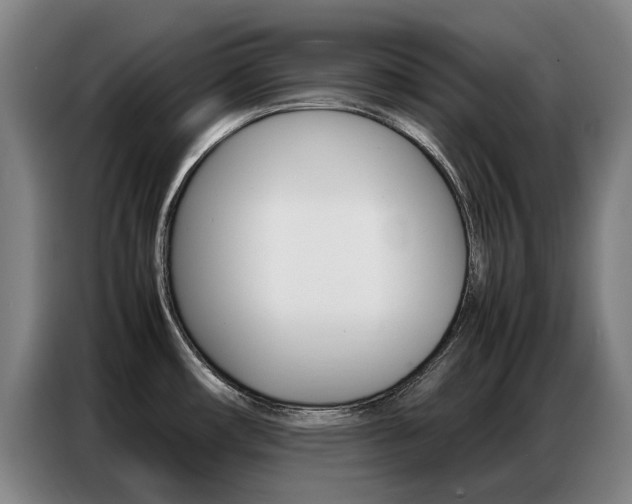 X0000087361482200704200815