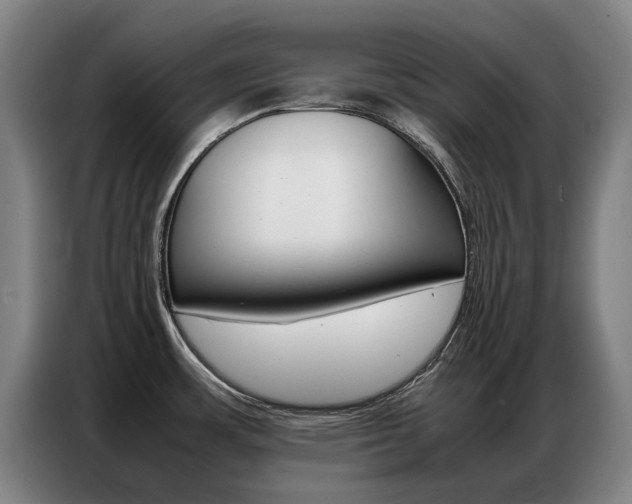 X0000087361483200704200815