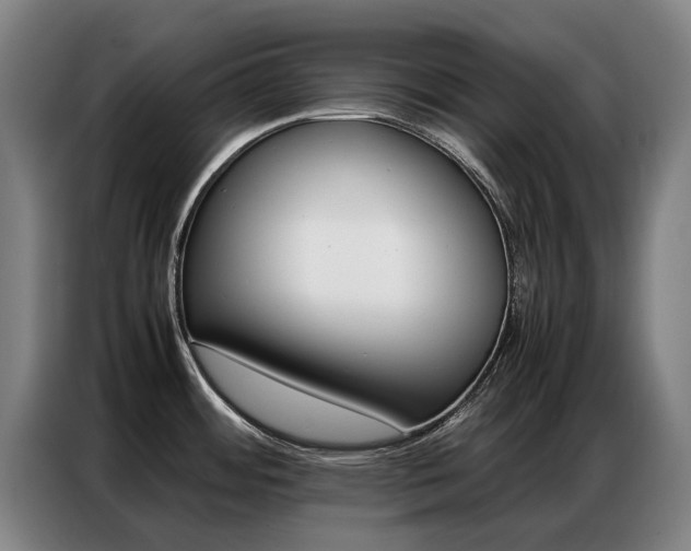 X0000087361484200704200815