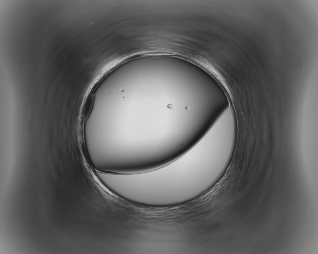 X0000087361485200704200815