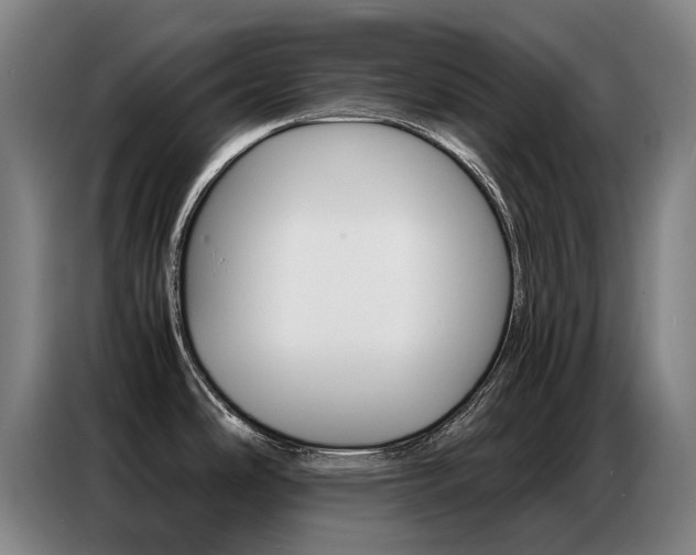 X0000087361486200704200815