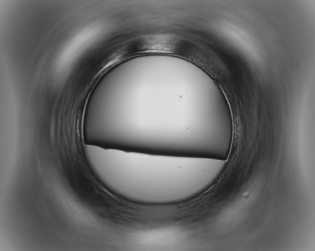 X0000087361487200704200815