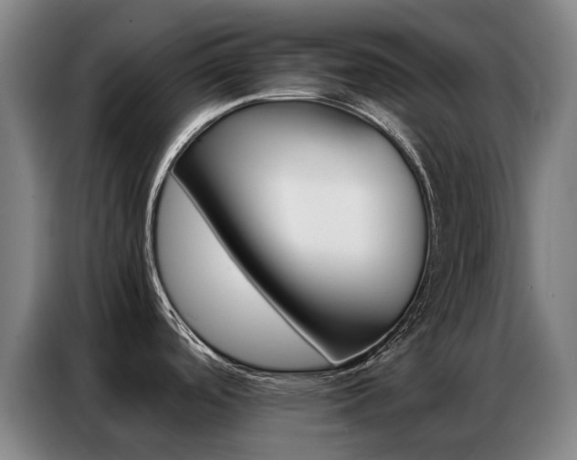 X0000087361488200704200815