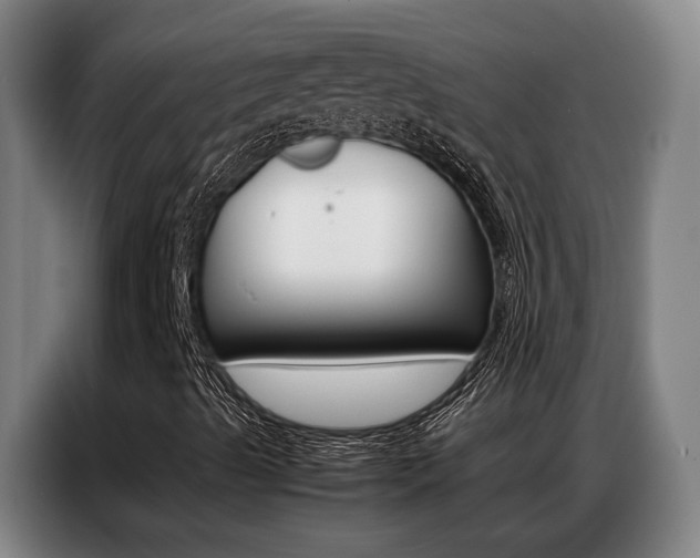 X0000087361489200704200814