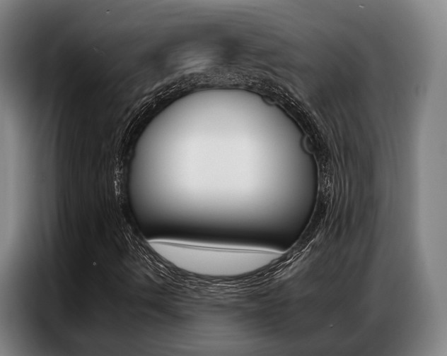 X0000087361490200704200814