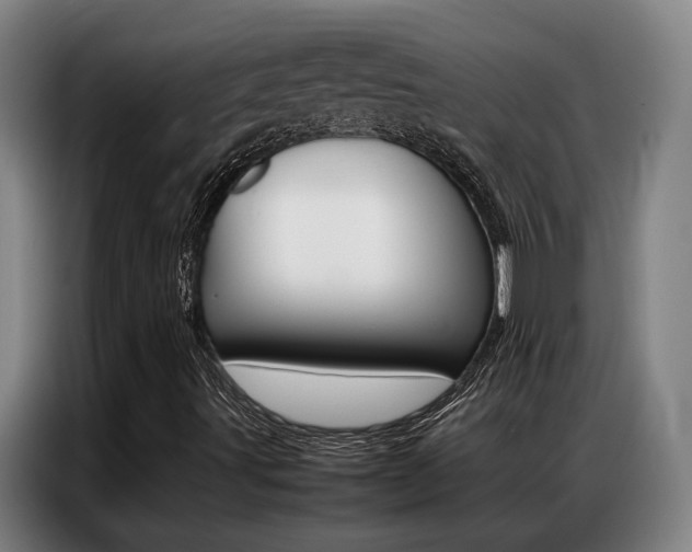 X0000087361491200704200814