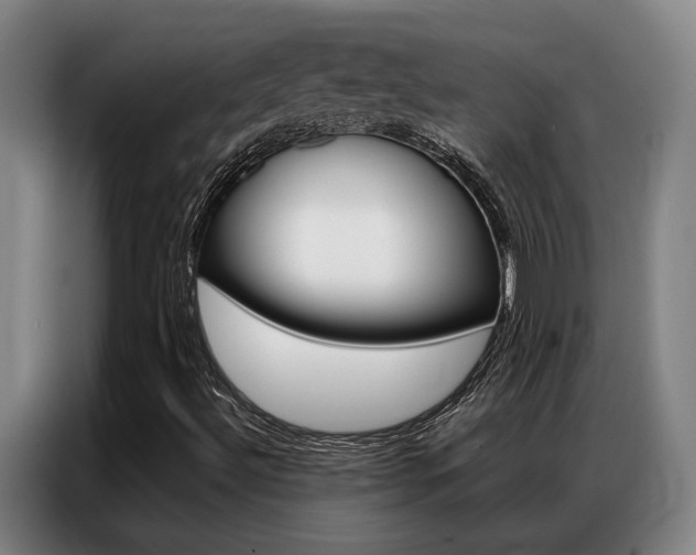 X0000087361492200704200814