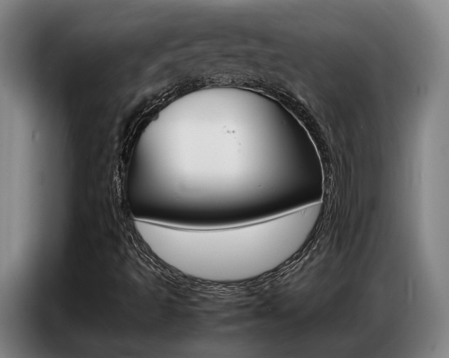 X0000087361493200704200814