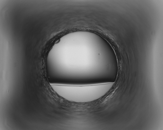 X0000087361494200704200814