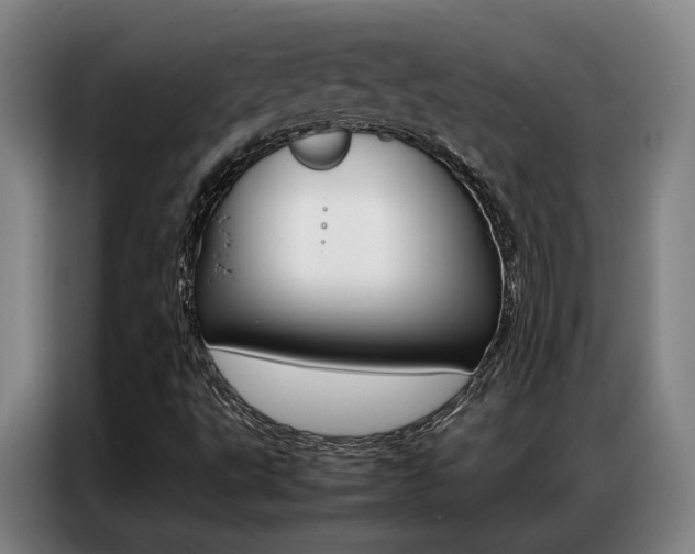 X0000087361495200704200814