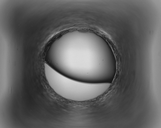 X0000087361496200704200814