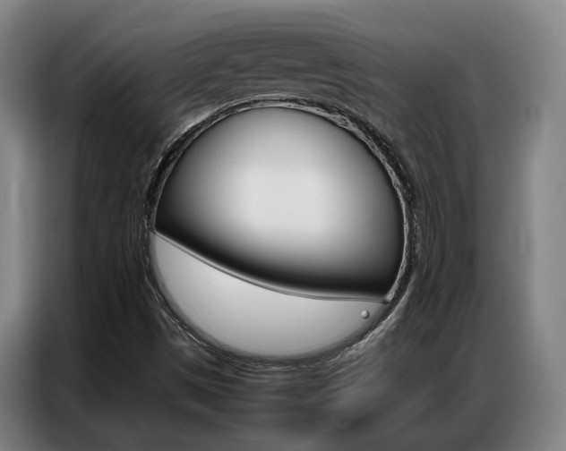 X0000087361497200704200814