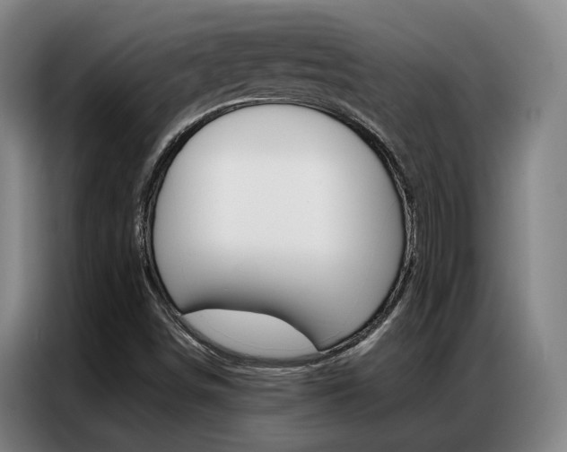 X0000087361498200704200814
