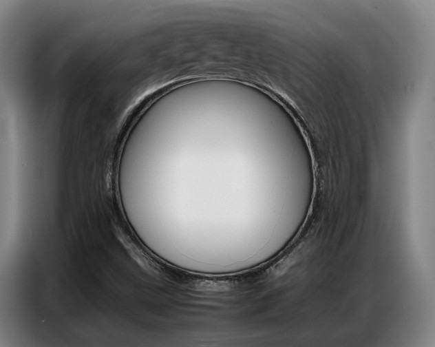 X0000087361499200704200814