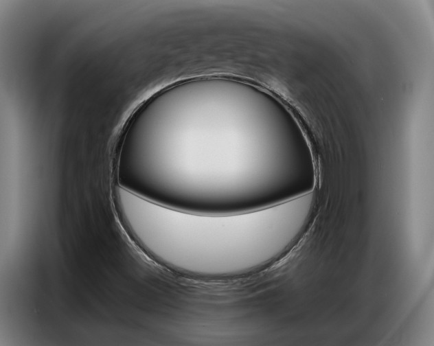 X0000087361500200704200814