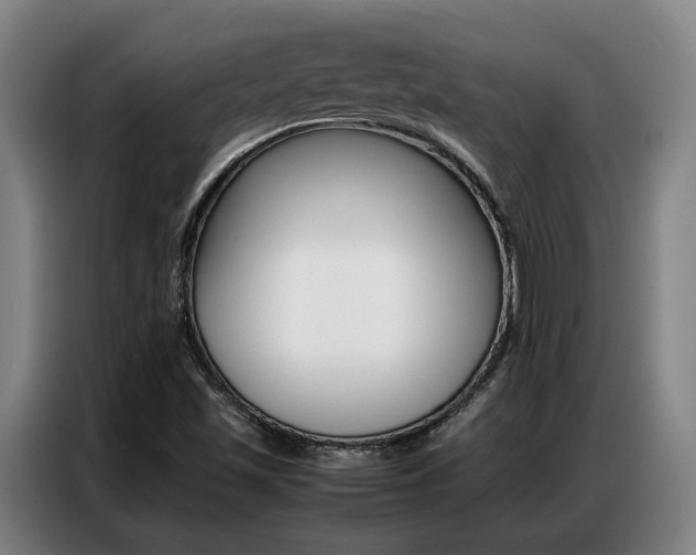 X0000087361501200704200814