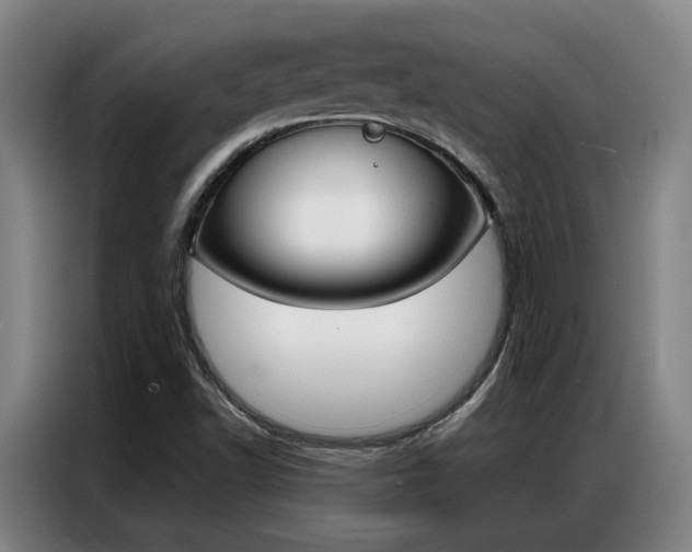 X0000087361502200704200814
